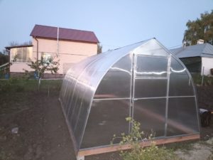 купольная теплица на даче